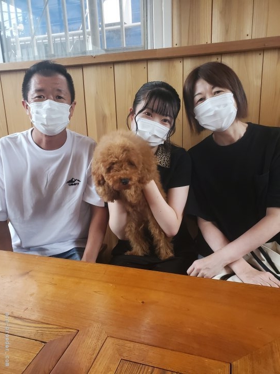 芝田晃章ブリーダーのブログ：栃木犬からの　お迎えです